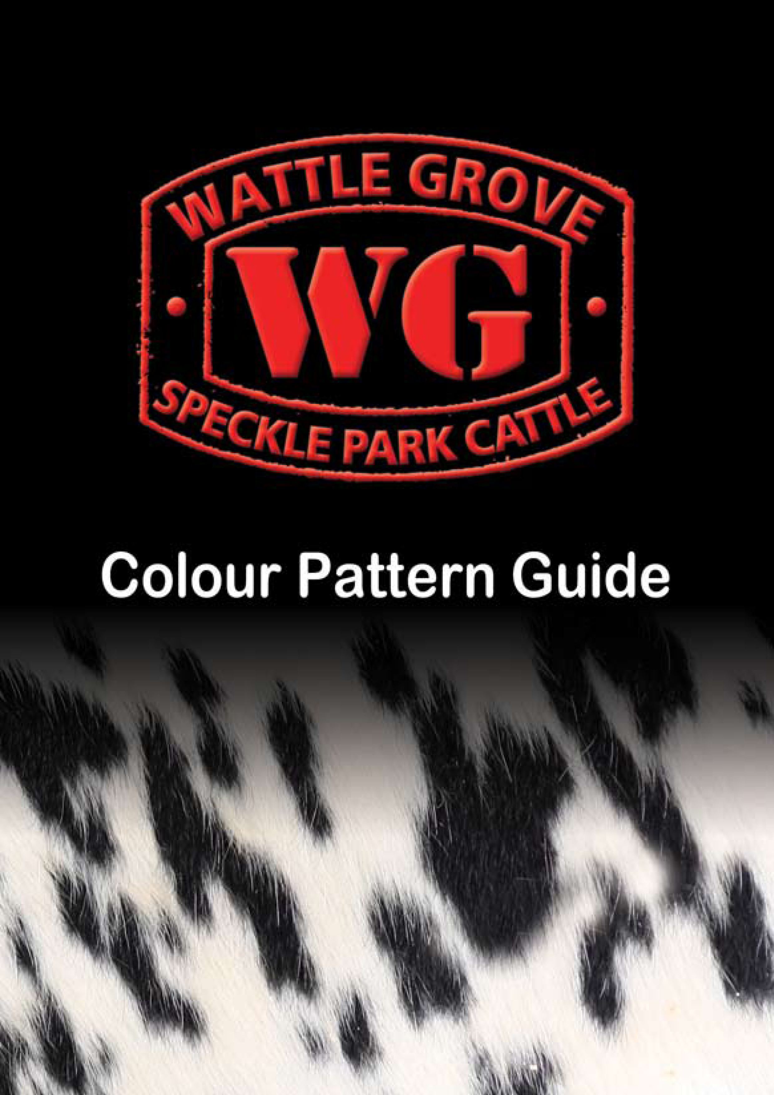 Wattle Grove Speckle Park Cattle Colour Pattern Guide